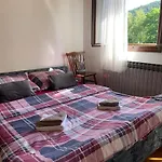 Chalet Sanmari_forest